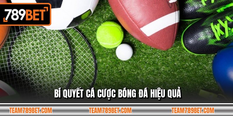 Bí quyết cá cược bóng đá hiệu quả