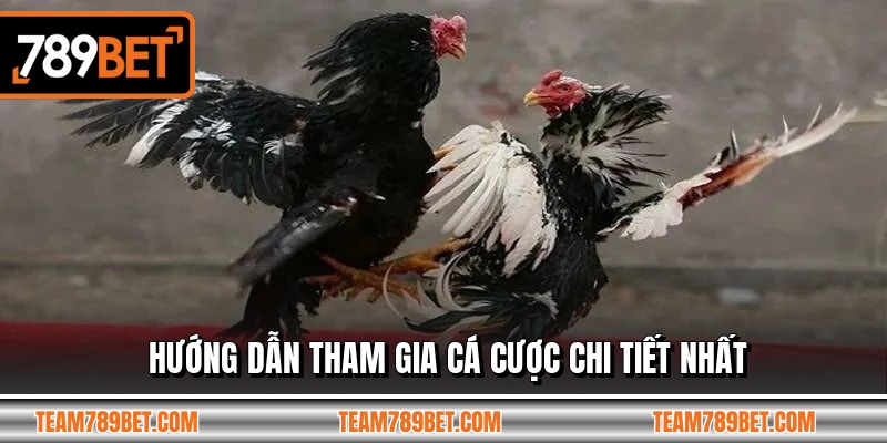 Hướng dẫn tham gia cá cược chi tiết nhất