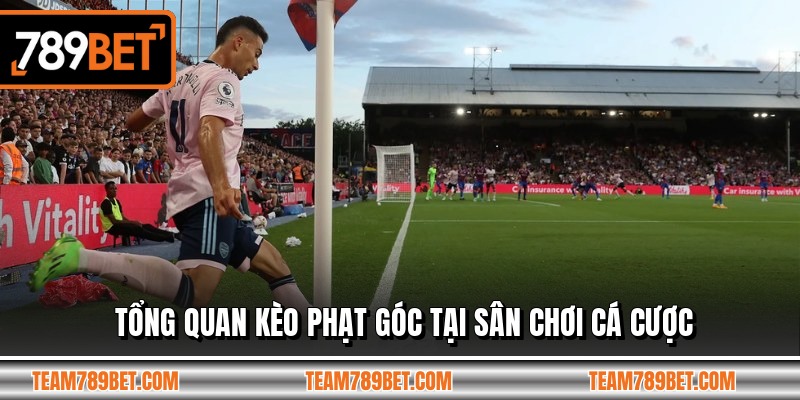 Tổng quan kèo phạt góc tại sân chơi cá cược